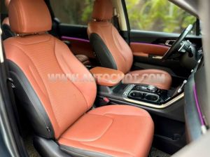 Xe Kia Carnival Signature 2.2D 2022