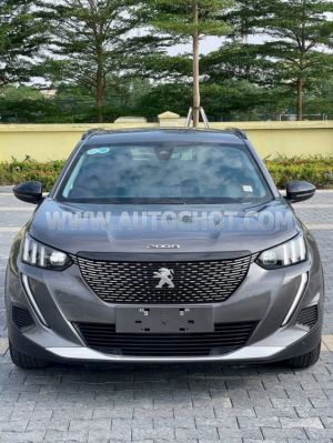 Xe Peugeot 2008 GT Line 1.2 AT 2022