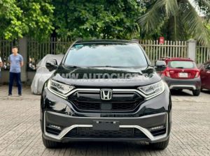 Xe Honda CRV L 2022