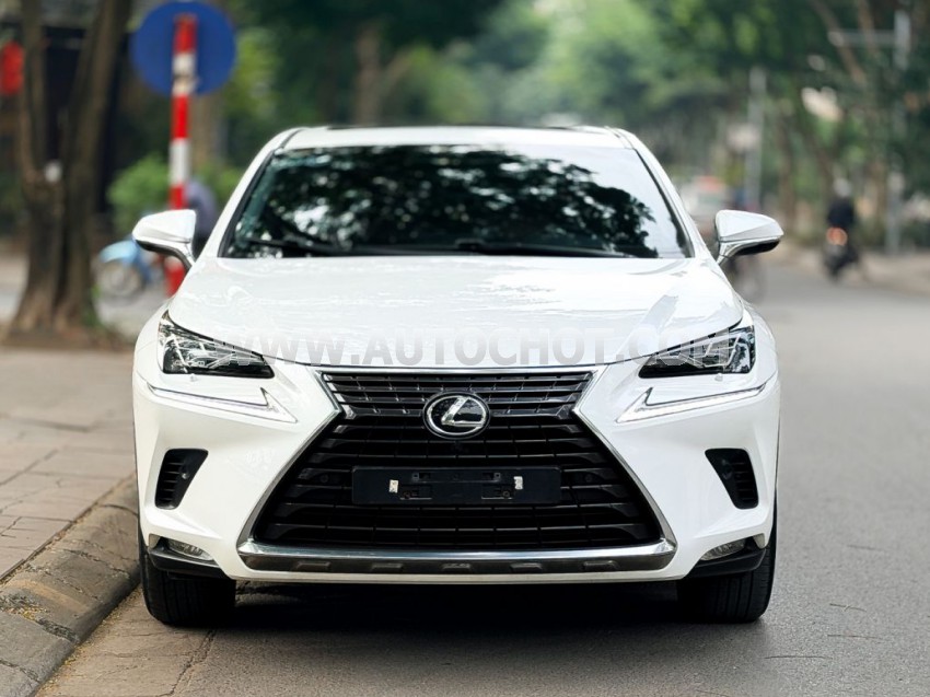 Lexus NX 300 2018