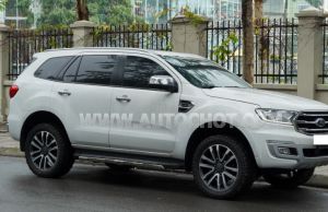 Xe Ford Everest Titanium 2.0L 4x4 AT 2019