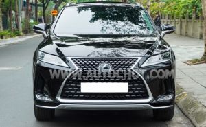 Xe Lexus RX 350 2022