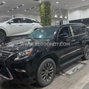 Xe Lexus GX 460 2010