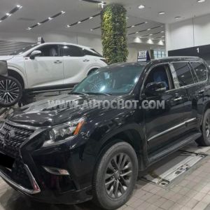 Xe Lexus GX 460 2010