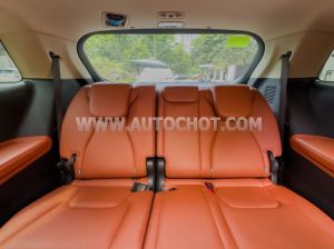 Xe Kia Carnival Signature 2.2D 2022