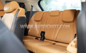 Xe Kia Carnival Premium 2.2D 2021