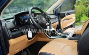 Xe Kia Carnival Premium 2.2D 2021