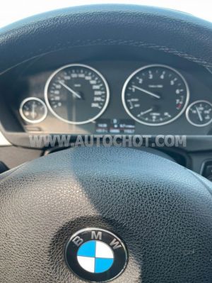 Xe BMW 3 Series 320i 2014