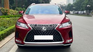 Xe Lexus RX 300 2021