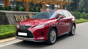 Xe Lexus RX 300 2021