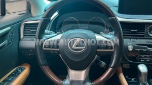 Xe Lexus RX 300 2021