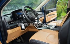 Xe Kia Carnival Premium 2.2D 2021