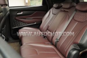 Xe Hyundai SantaFe Premium 2.2L HTRAC 2019