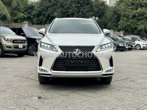 Xe Lexus RX 350 2021