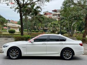 Xe BMW 5 Series 520i 2013