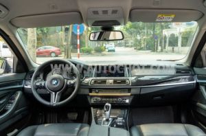 Xe BMW 5 Series 520i 2015