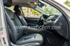 Xe BMW 5 Series 520i 2015