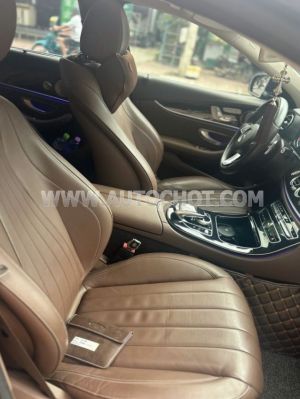 Xe Mercedes Benz E class E250 2016