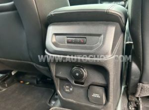 Xe Ford Everest Platinum 2.0L 4x4 AT 2024