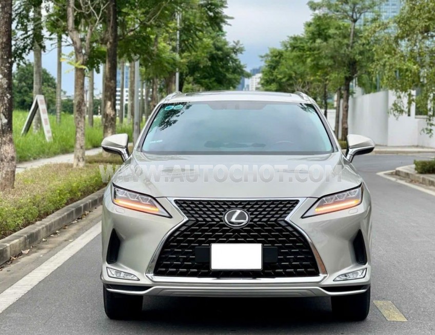 Lexus RX 300 2021