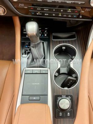 Xe Lexus RX 300 2021