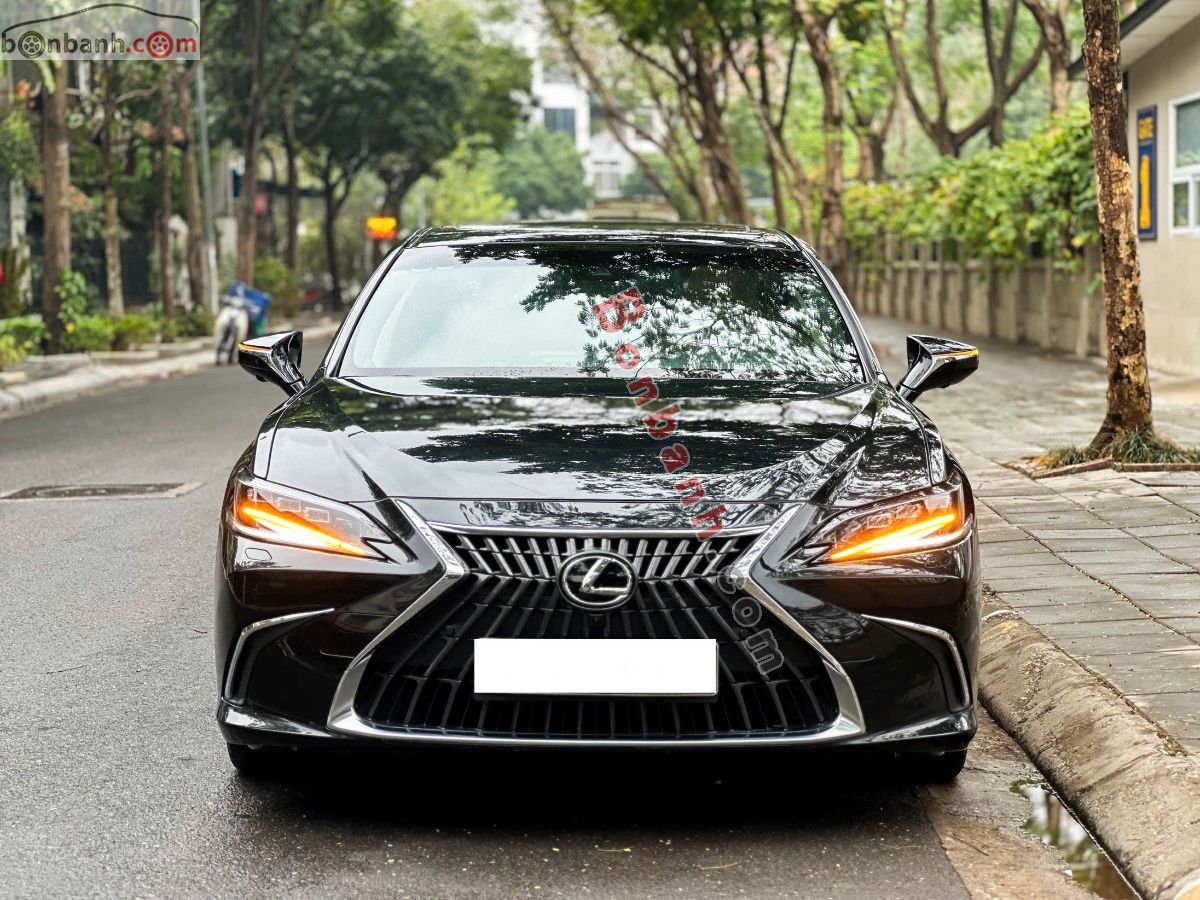 Lexus ES 300h 2022