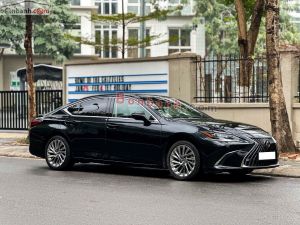 Xe Lexus ES 300h 2022