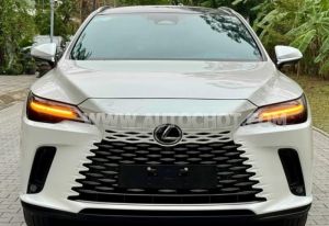 Xe Lexus RX 350 Luxury 2023