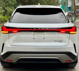 Xe Lexus RX 350 Luxury 2023