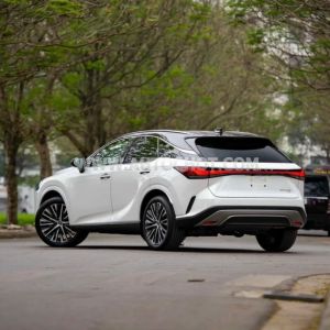Xe Lexus RX 350 Premium 2024