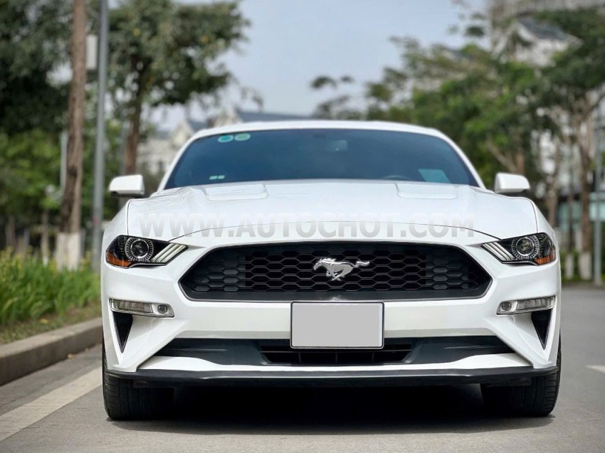 Ford Mustang EcoBoost Fastback 2018