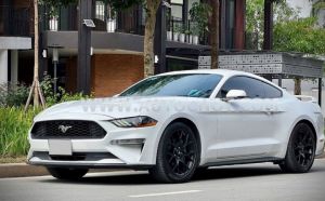 Xe Ford Mustang EcoBoost Fastback 2018