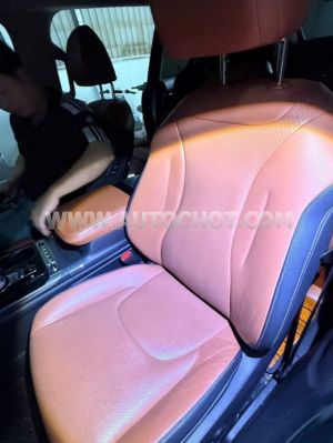 Xe Kia Carnival Signature 2.2D 2022