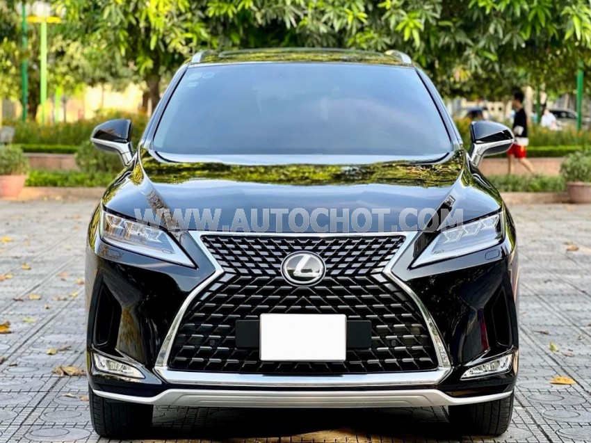 Lexus RX 300 2021