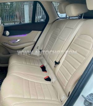 Xe Mercedes Benz GLC 300 4Matic 2019