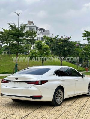 Xe Lexus ES 250 2022