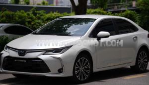 Xe Toyota Corolla altis 1.8HEV 2023