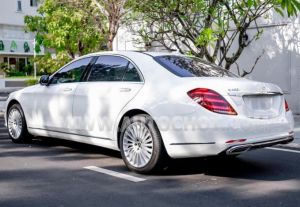 Xe Mercedes Benz S class S450L 2020