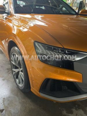 Xe Audi Q8 55 TFSI S-Line Quattro 2020