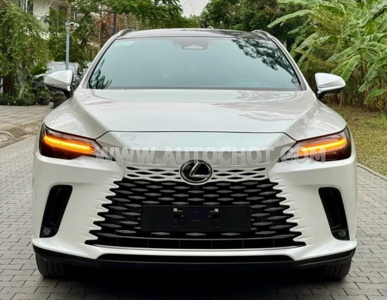 Lexus RX 350 Luxury 2023
