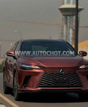 Xe Lexus RX 350 Luxury 2023