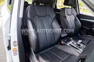 Xe Audi Q5 2.0 AT 2018
