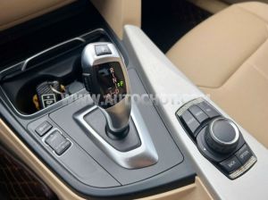 Xe BMW 3 Series 320i 2015
