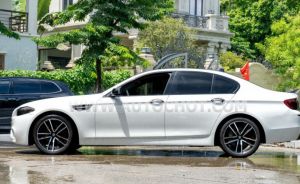 Xe BMW 5 Series 520i 2012