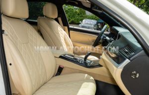Xe BMW 5 Series 520i 2012