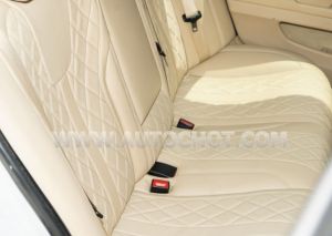 Xe BMW 5 Series 520i 2012