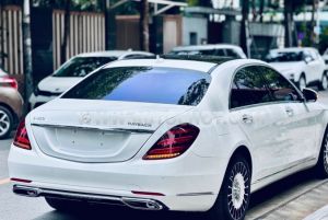 Xe Mercedes Benz S class S450L 2020