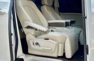 Xe Volkswagen Viloran Luxury 2024