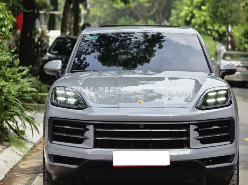 Porsche Cayenne 3.0 V6 2024