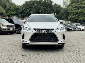 Xe Lexus RX 350 2020